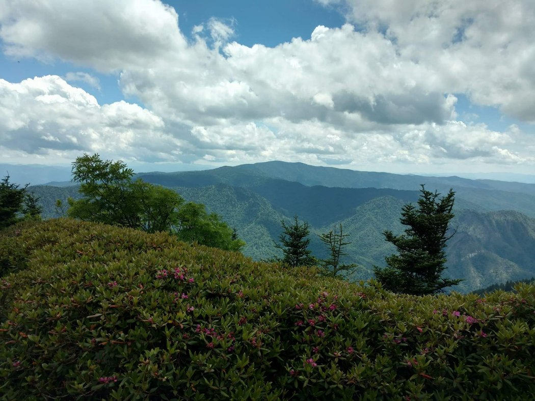 VNVQ2348.JPG