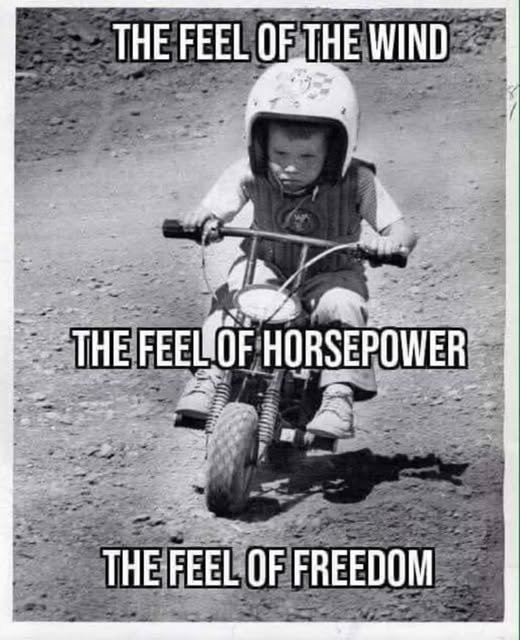 2 wheel fun.jpg