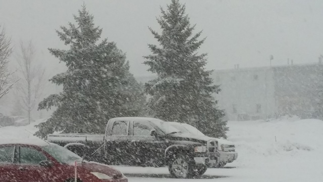 20160202_130002.jpg