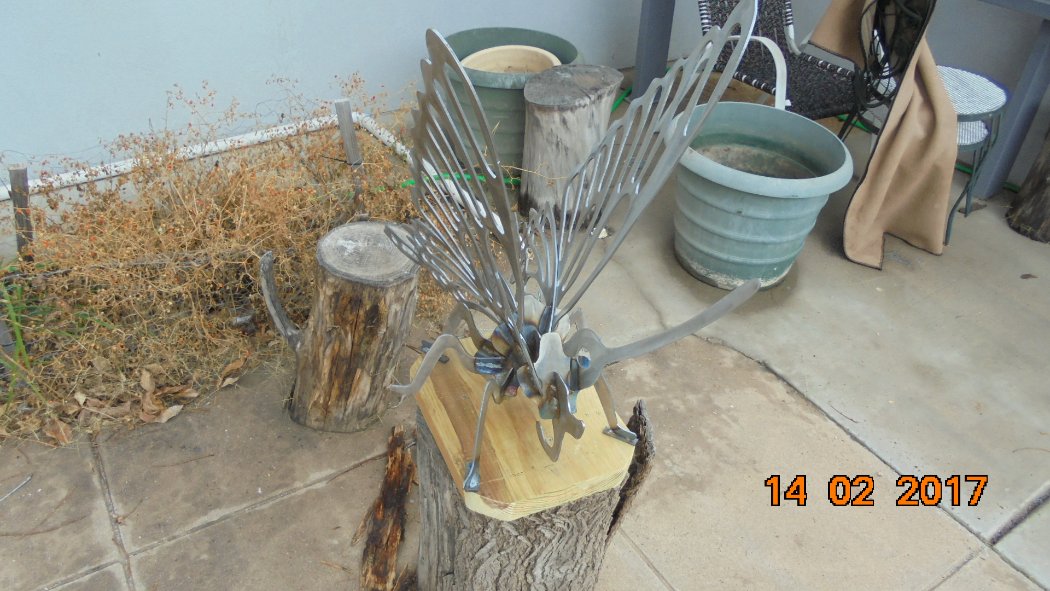 DSC00764.JPG