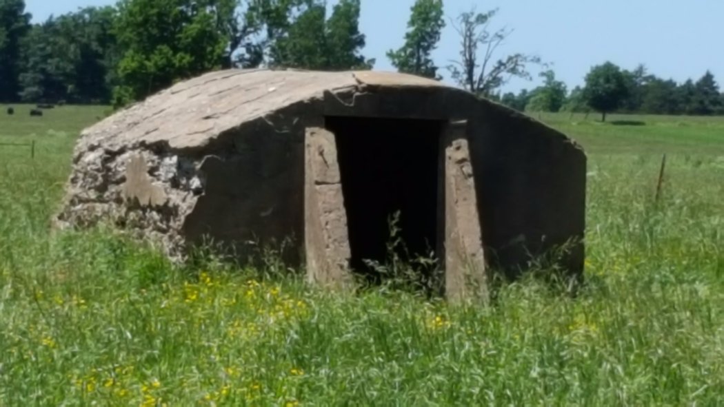 20's Shelter2.jpg