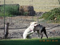 DSCN0492.jpg