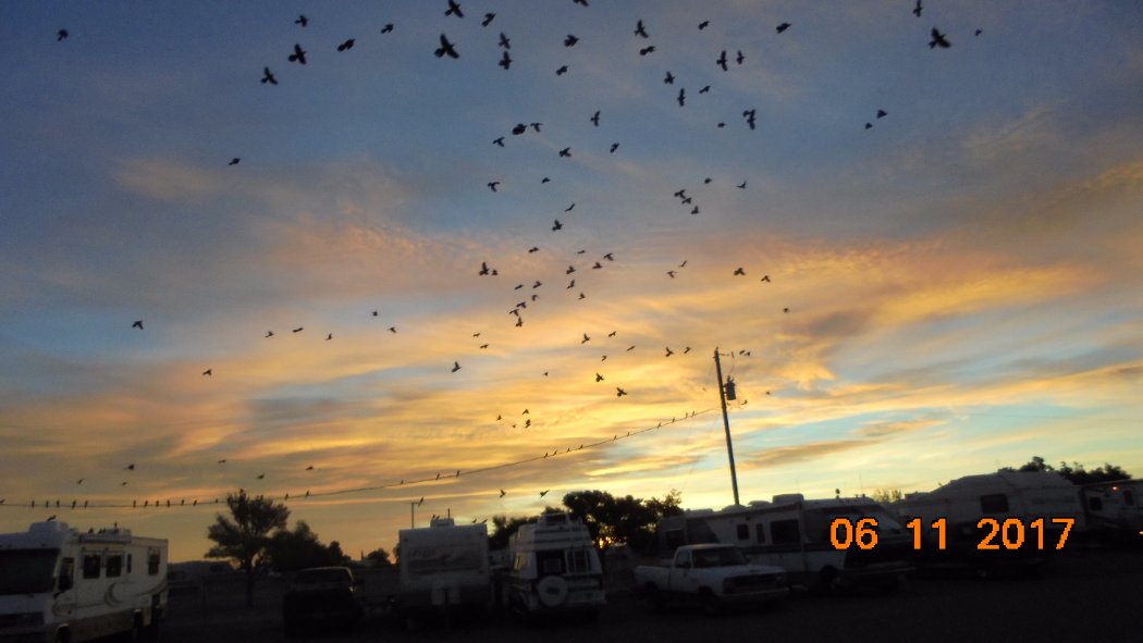 DSC02764.JPG