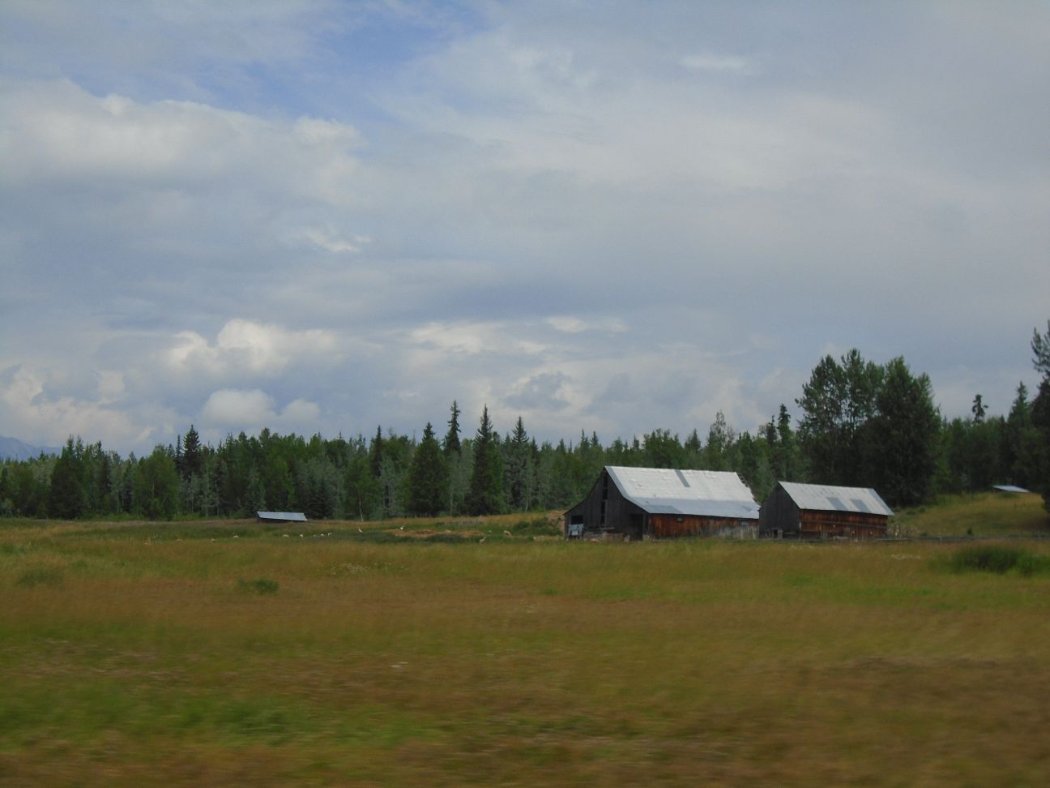 DSC00231.jpg