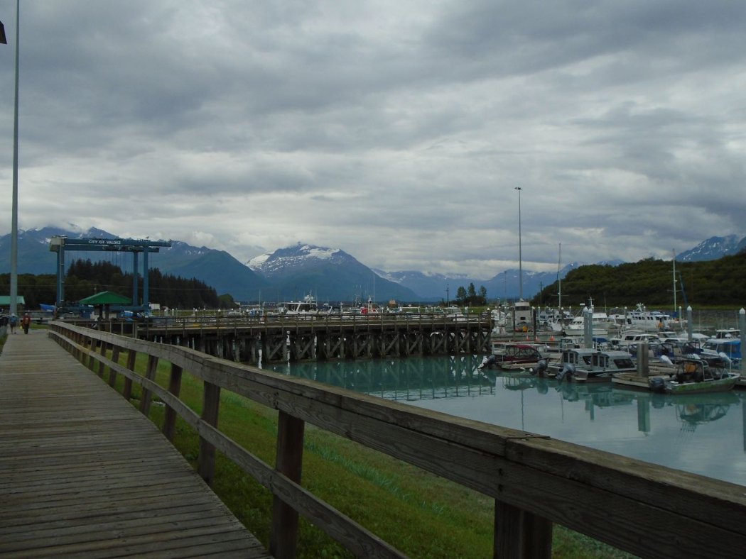 DSC00555.jpg